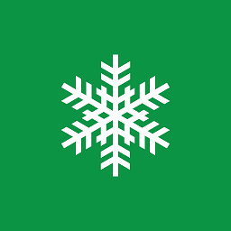 christmas snowflake icon