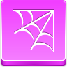 spider web icon